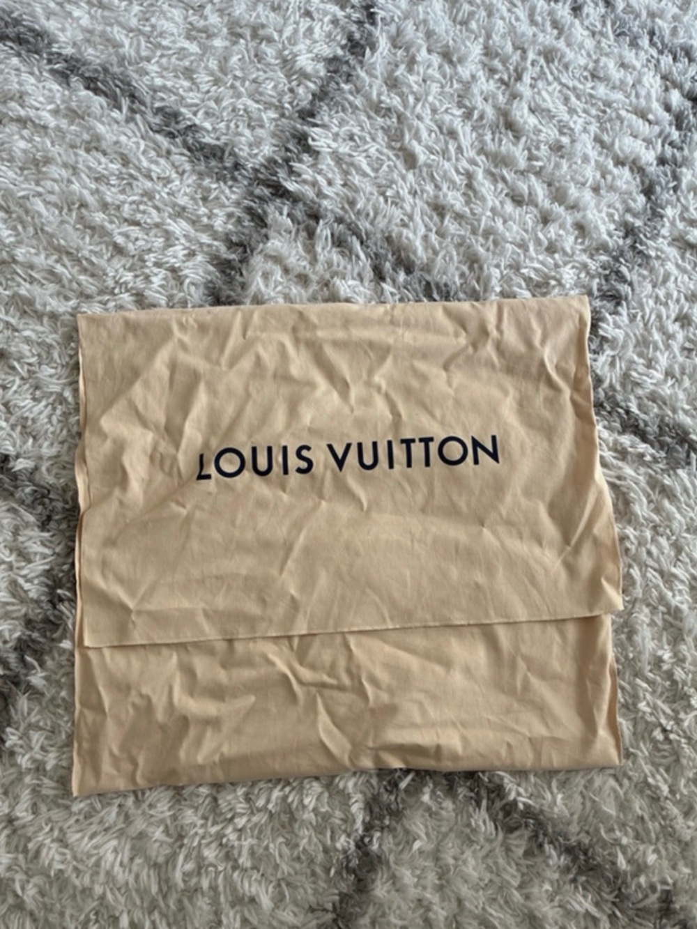Louis Vuitton Beige Dust Bag with Dark Logo Tag